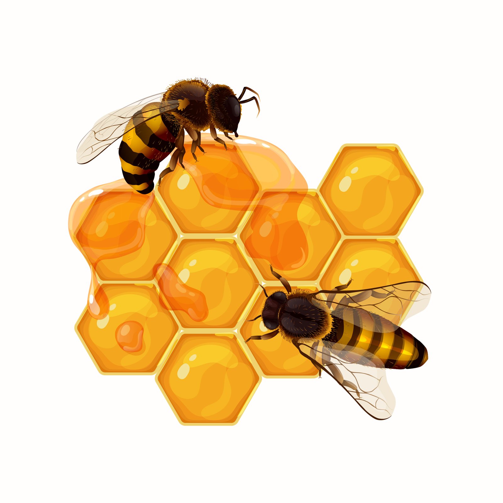 honey1
