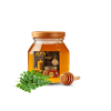 Moringa Honey
